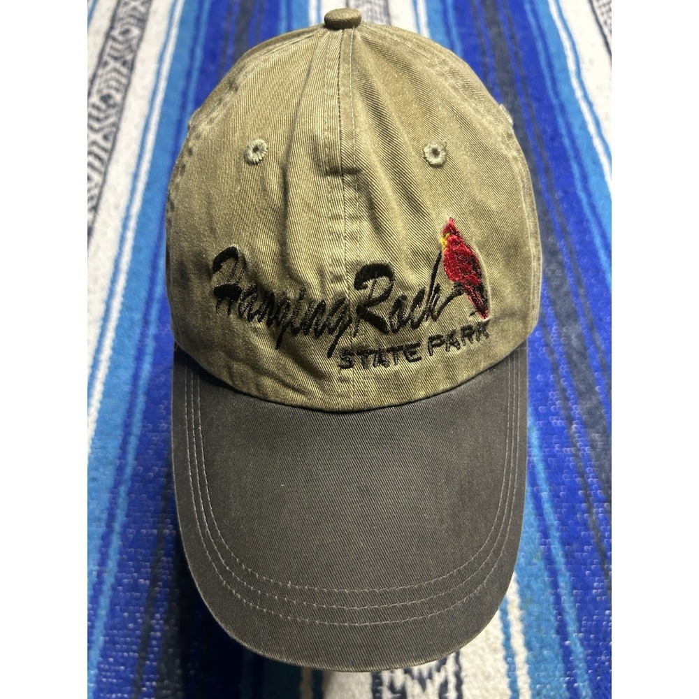 Vintage Hanging Rock State Park NC Falcon Leather Strapback Hat Cardinal